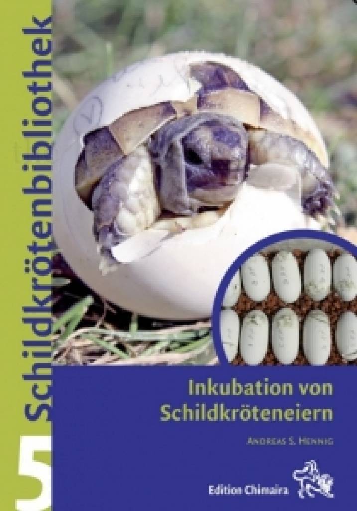 Schildkrötenbibliothek 5 - Inkubation von Schildkröteneiern